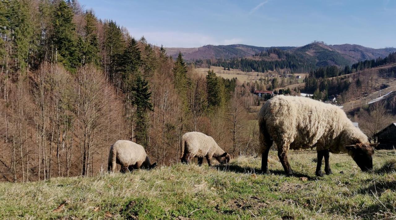 Penzion Rzehaczek Долни-Ломна Экстерьер фото